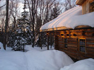 Handcrafted Log Homes and Log Cabin Screensaver screenshot